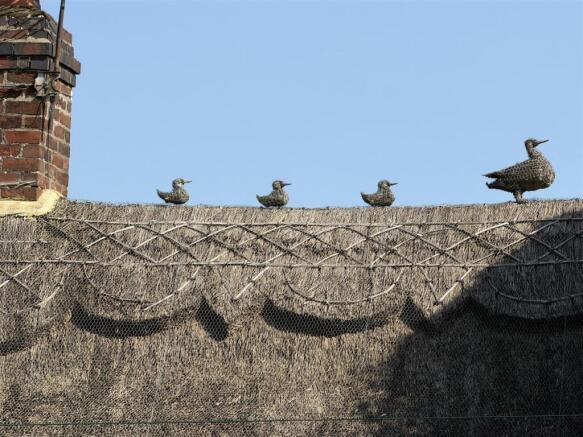 5d05fc35--4A2F-A9D6-37C67200F7FD-55512-00001583FD1