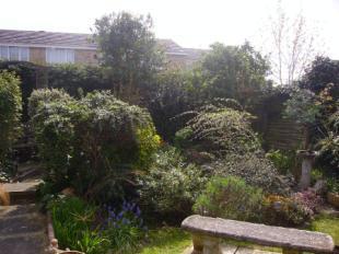 Garden View 2