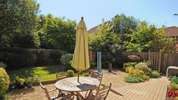 Garden Shot 2