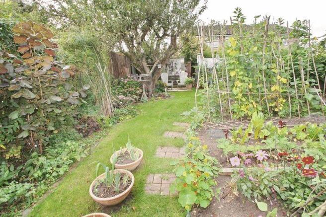 vegetable growing