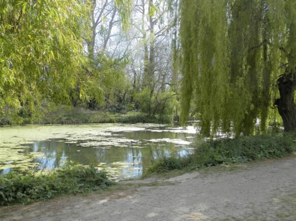 Photo 24