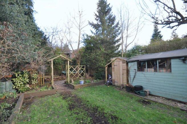 Rear Aspect