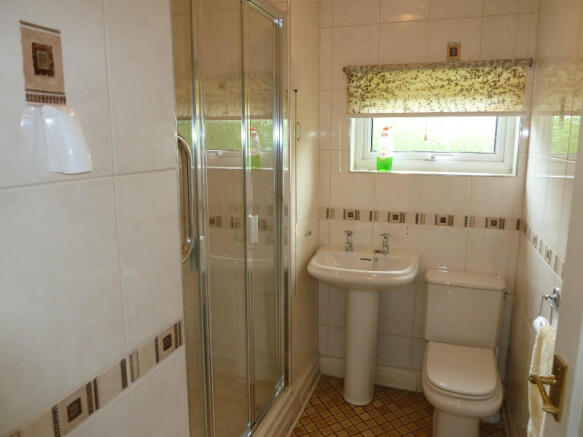 Picture 5