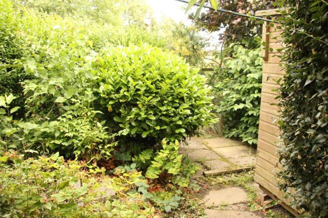 Garden Another View