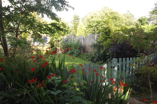 Photo 14