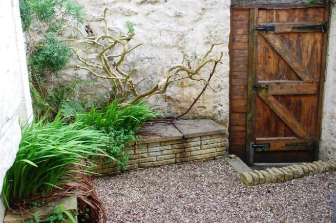 Garden.JPG