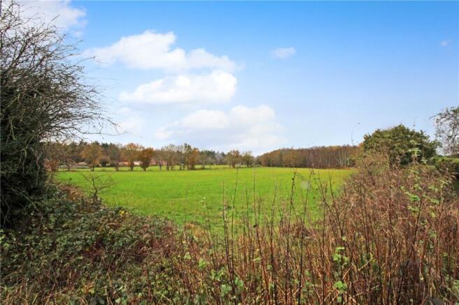 Field