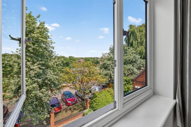 Window view