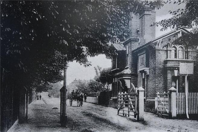 Picture No. 11
