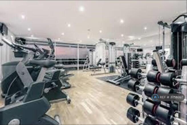 Great Modern Gym