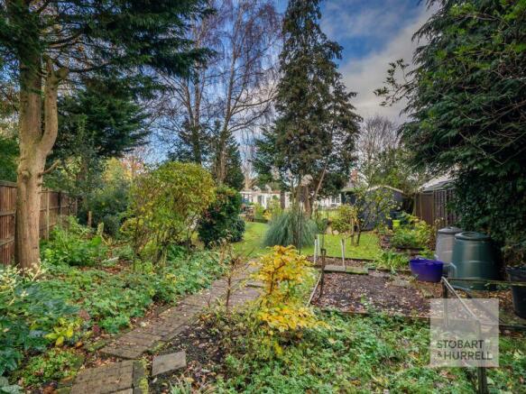 Vegetable Patch