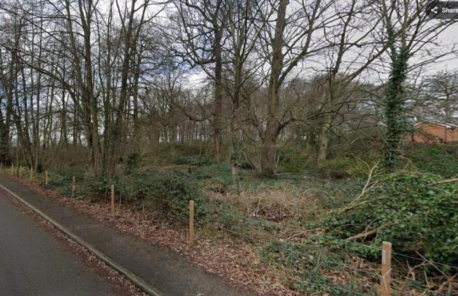 Menagerie Wood street photo.jpg