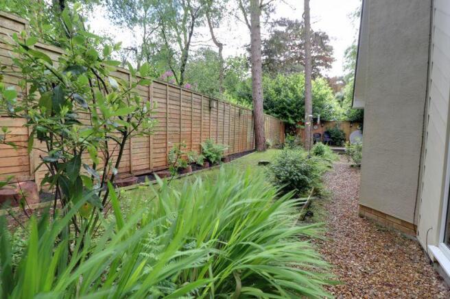 Side Garden