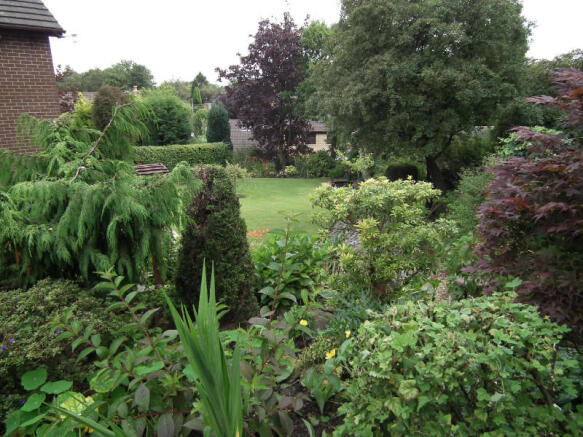 Photo 11