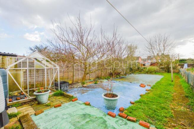 Vegetable Garden