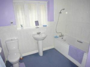 Photo 44