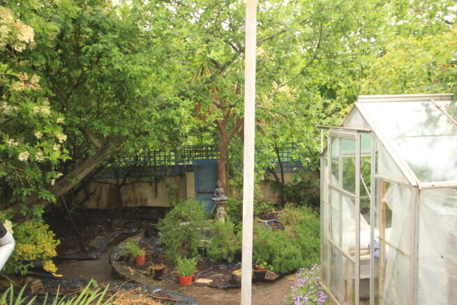 Photo 13