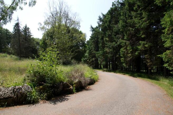 Sweeping Driveway