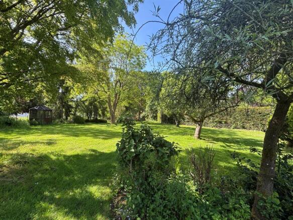 Garden 4.jpg