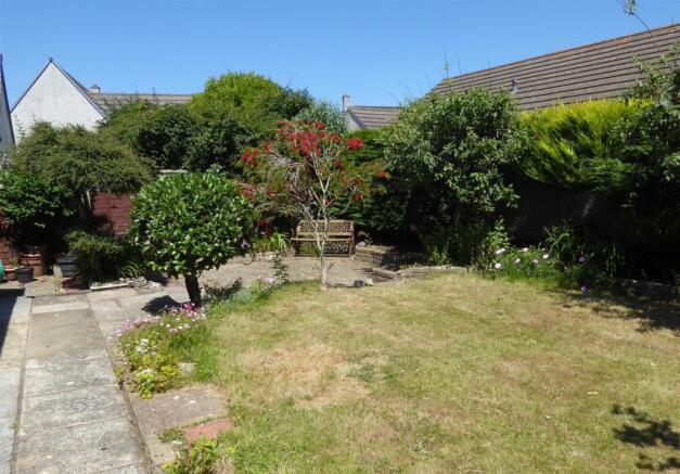 Back Garden.JPG