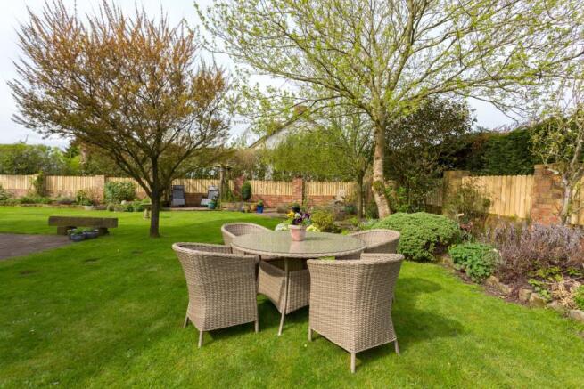 Garden (B)
