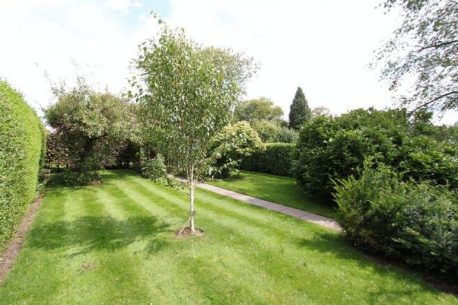 rear garden w5
