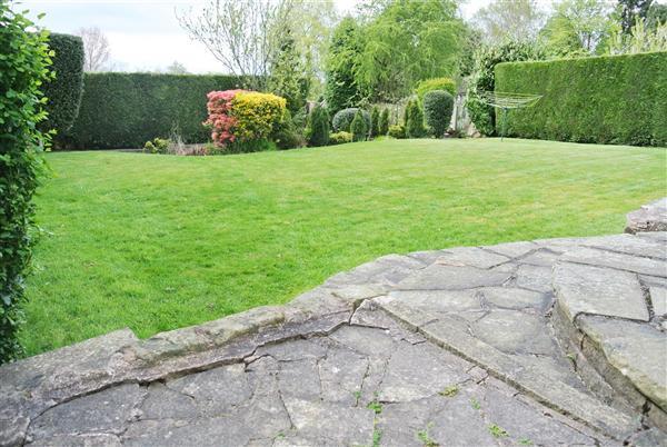 Rear Patio Area