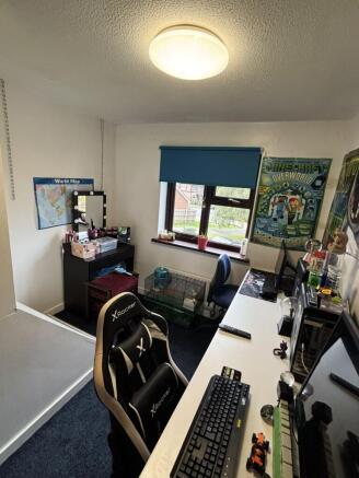Picture 16