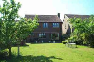 Rear of House