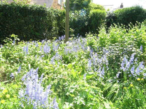 Garden 7