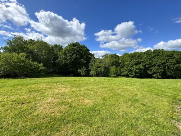 Communal Meadow