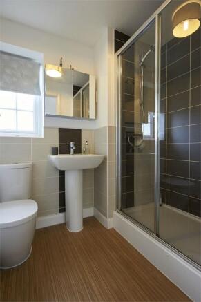 photo21