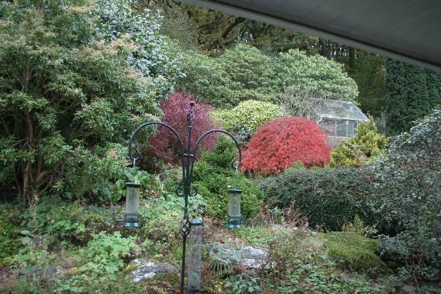 Garden from bedroom