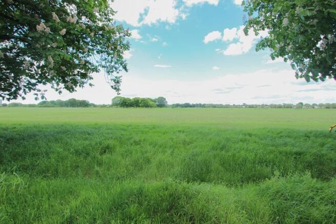 Wanstead Flats