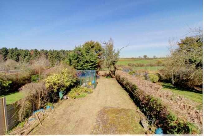 Garden (3)