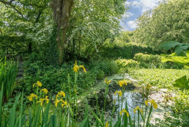 Wildlife Pond