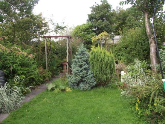 Rear Garden B