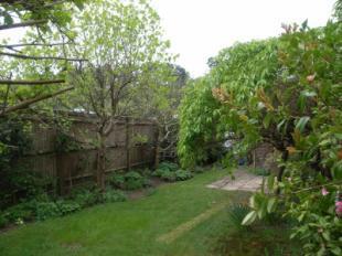 Picture No.05
