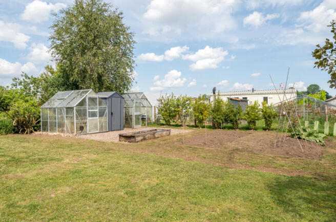 Veggie Garden