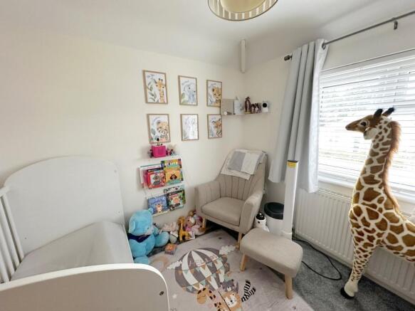 Photo 11