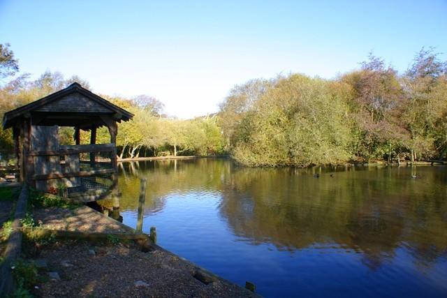 SOPHIES POND