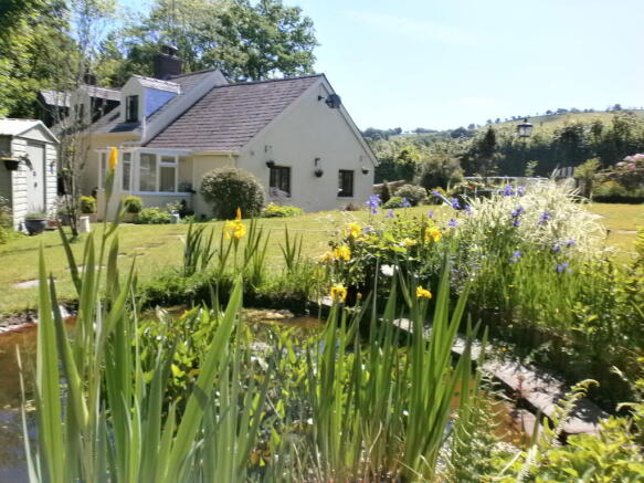 Garden Pond.JPG