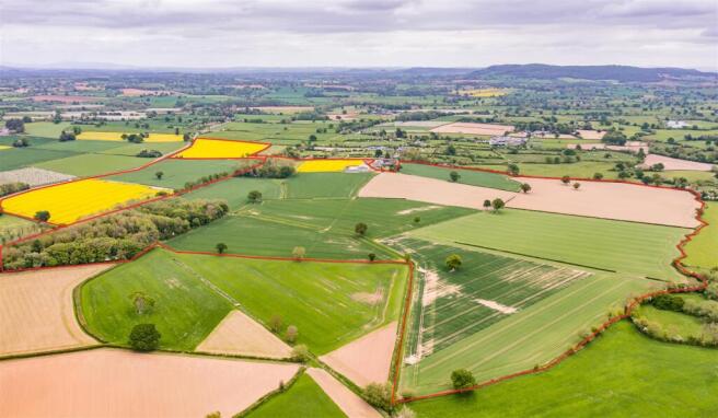 DJI_0454-Edit.jpg
