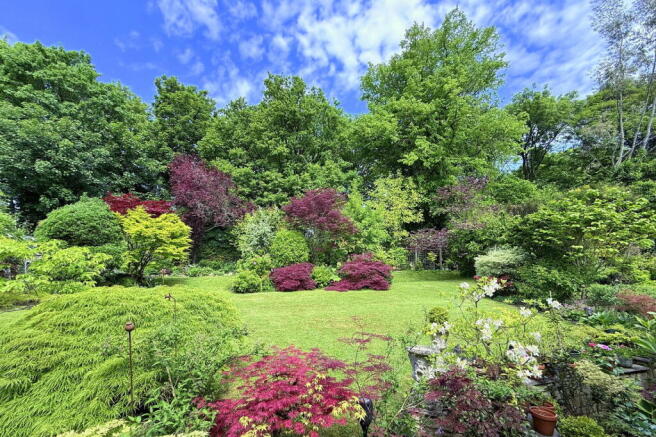 Photo 21