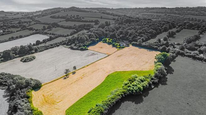 Black and white and colour photo (1)_edited.jpg