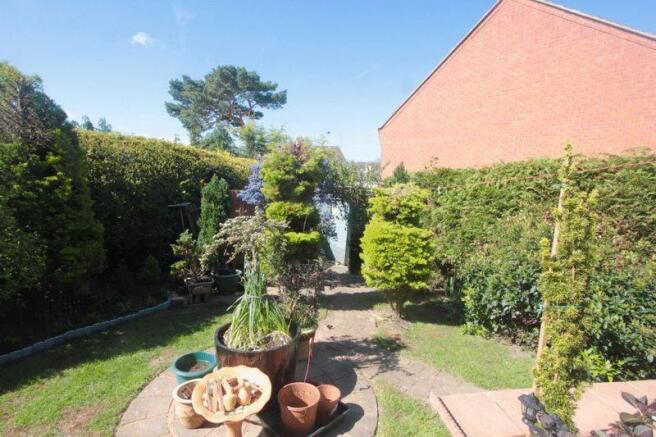 Garden 1