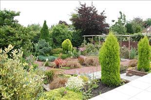 garden view 1