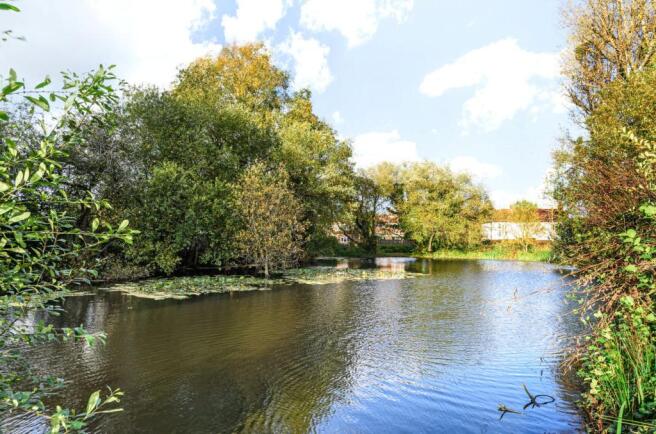Nearby Pond