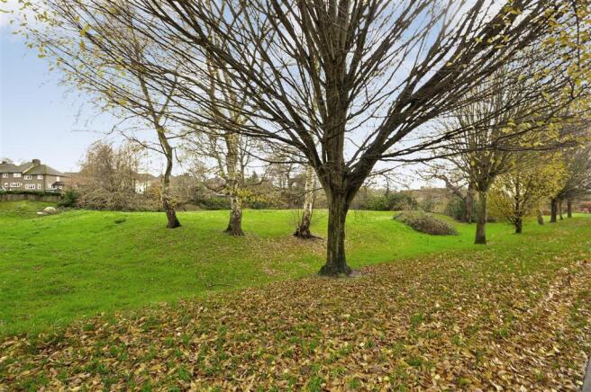 Surrounding Area