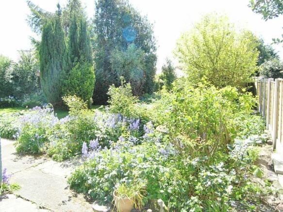 Garden 1